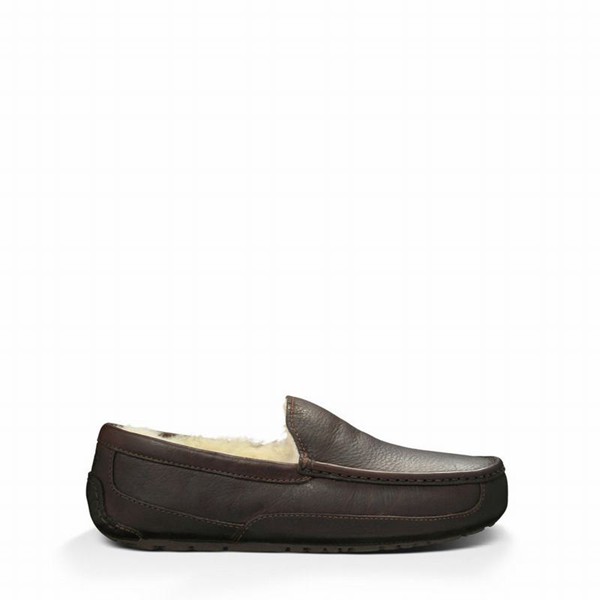 Brown UGG Ascot Slippers For Men | UK 00722